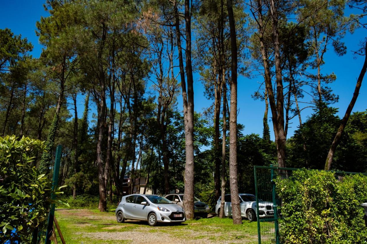 Buxus Hotel Shekvetili Exterior foto